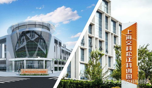 创业失败不可怕，园区服务与专家指导助您重启征程